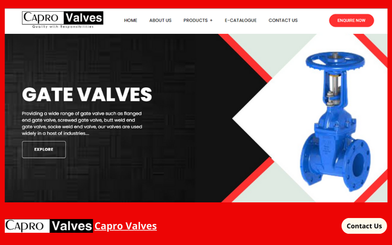 Capro Valves